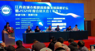 开云软件·(中国)官方网站受邀参加江西省城市照明高质量发展高峰论坛